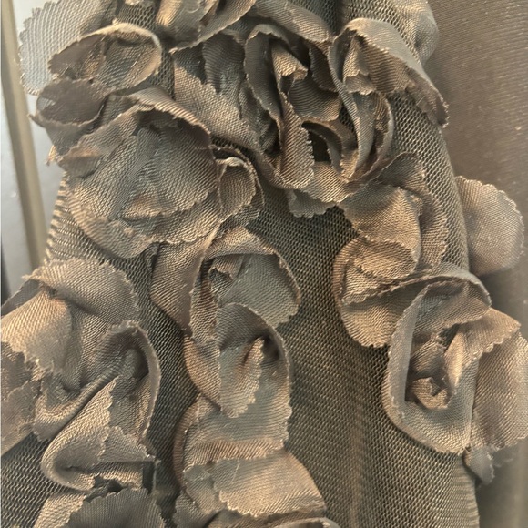 🩷2/$30❤️Laura ➕ Size 1X Black Blouse with mesh and 3D flowers - Picture 3 of 5